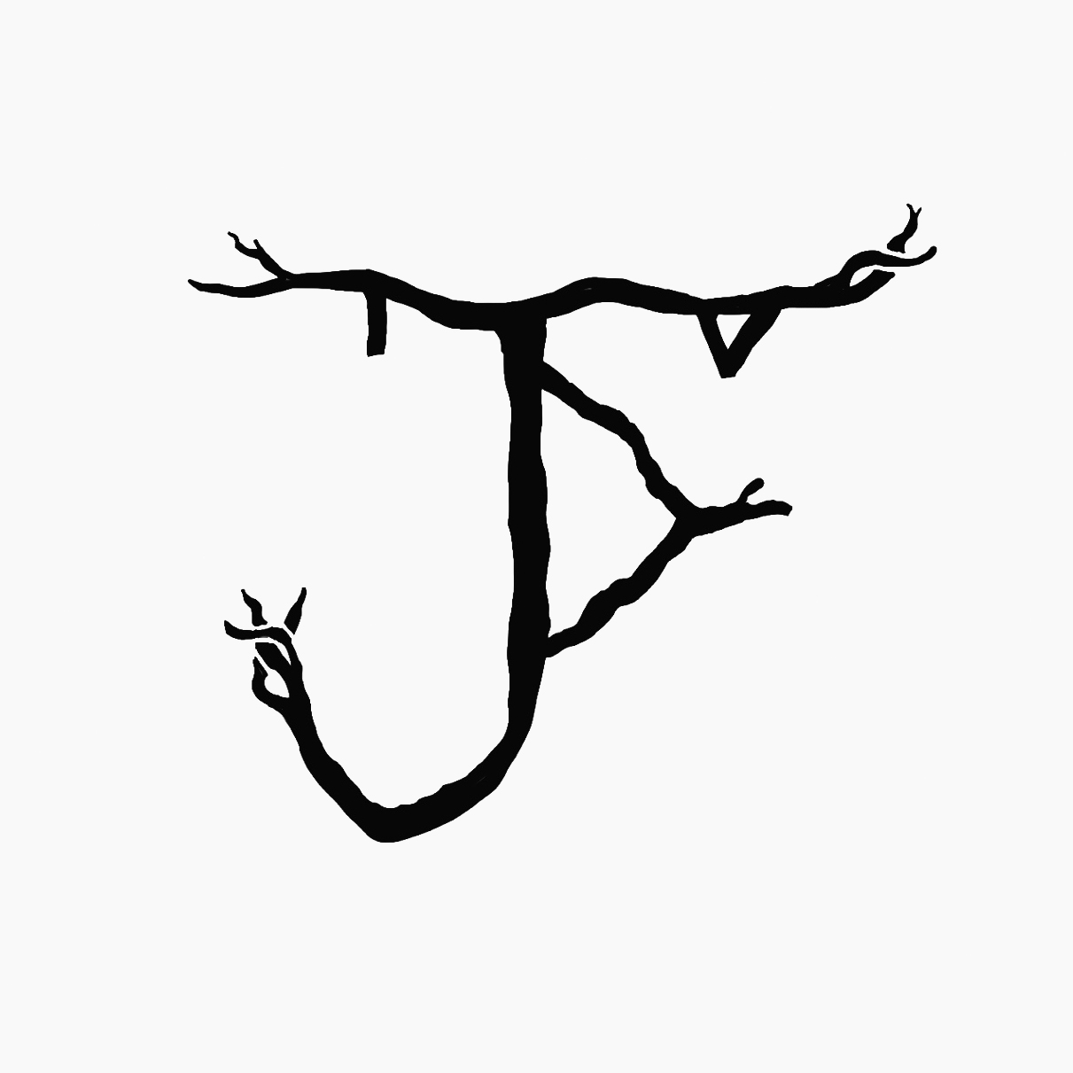 JPTIV BW Logo Gray Background